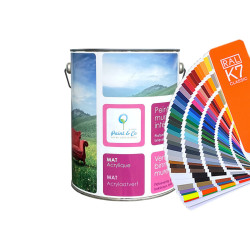 Deco Acryl matte interior paint - RAL colors from the mixer Deco Acryl matte interior paint - RAL colors from the mixer