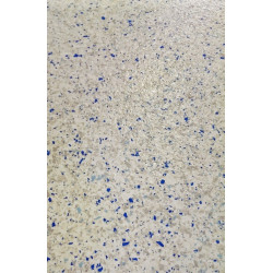 Polyurethane coating - P101 Polyurethane coating - P101