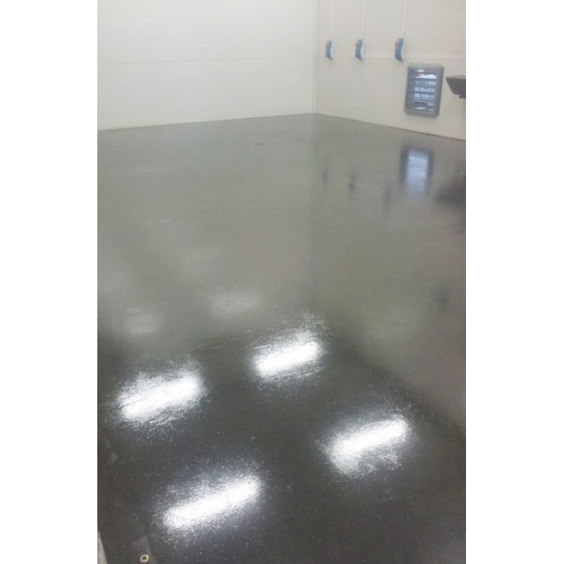 Polyurethane coating - P101 Polyurethane coating - P101