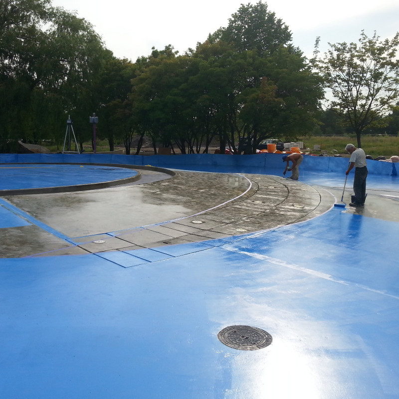 Polyurethane coating - P101 Polyurethane coating - P101