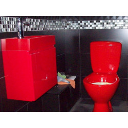 Polyurethane coating - P101 Polyurethane coating - P101