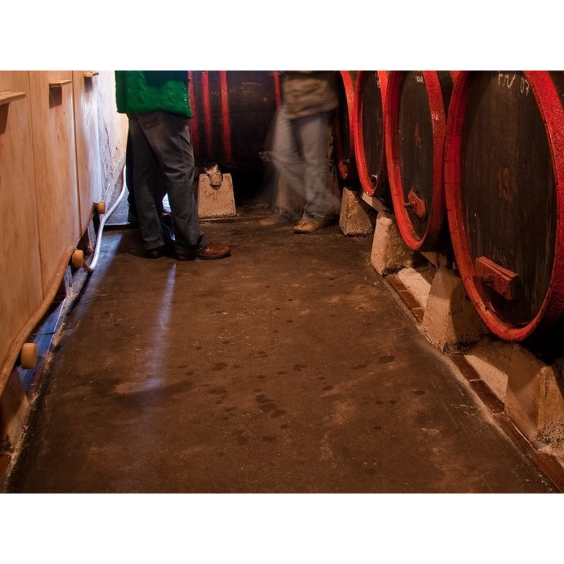 Primer for damp concrete - Dampshield Q124 Primer for damp concrete - Dampshield Q124