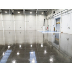 Epoxy primer for dry concrete - Dominator DoPox® 30-34 Epoxy primer for dry concrete - Dominator DoPox® 30-34