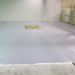 Nawierzchnia antypoślizgowa ProFloor Plus + NS Nawierzchnia antypoślizgowa ProFloor Plus + NS