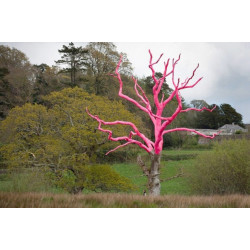 Glocote fluorescent reflective paint Glocote fluorescent reflective paint