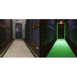 Glow-in-the-dark paint, at night Coo-Var Glow-in-the-dark paint, at night Coo-Var