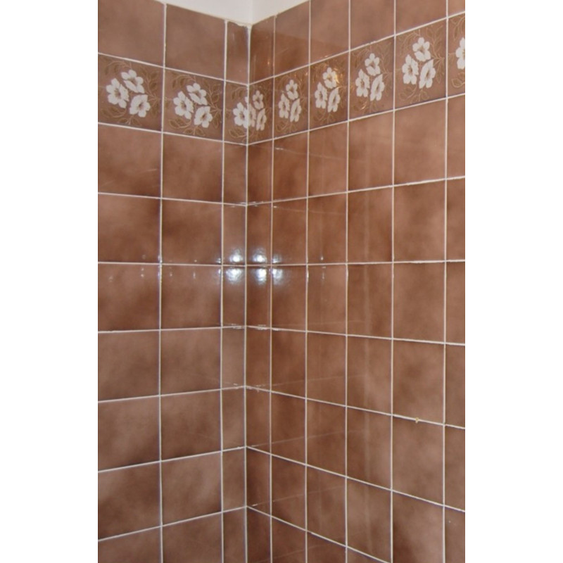 Painting of tiles, glazes - Hydropox Painting of tiles, glazes - Hydropox