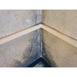 Mildewicide - Antifungal primer Ag Mildewicide - Antifungal primer Ag