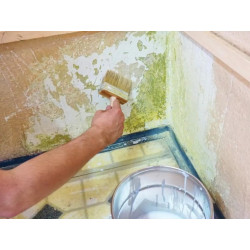 Mildewicide - Antifungal primer Ag Mildewicide - Antifungal primer Ag