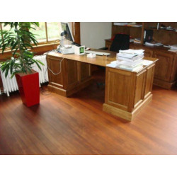 Polyurethane varnish for furniture Monovar PU Polyurethane varnish for furniture Monovar PU
