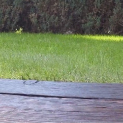 Complete Decking Oil Complete Decking Oil