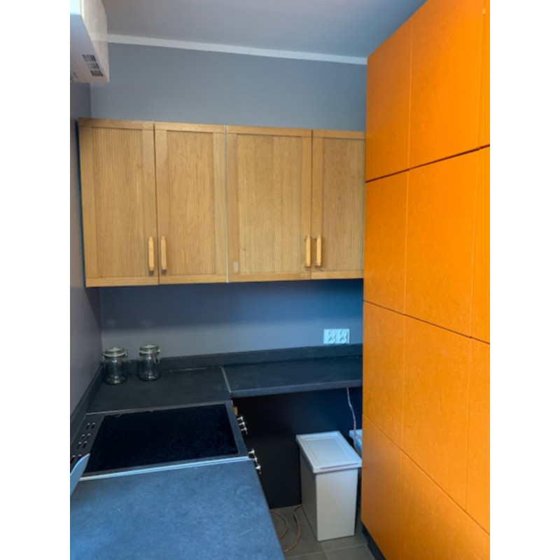 Paint for OSB - RD-Aquatop PU Paint for OSB - RD-Aquatop PU