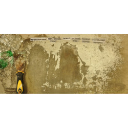 Scalpex NW paint stripper Scalpex NW paint stripper